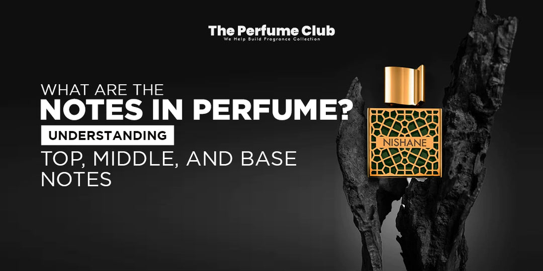 What Are the Notes in Perfume Understanding Top, Middle, and Base Notes