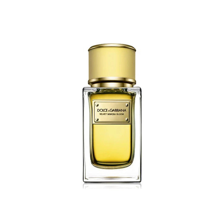 Shop Dolce & Gabbana Velvet Mimosa Bloom for Women EDP 150ml online at the best price in Pakistan | The Perfume Club