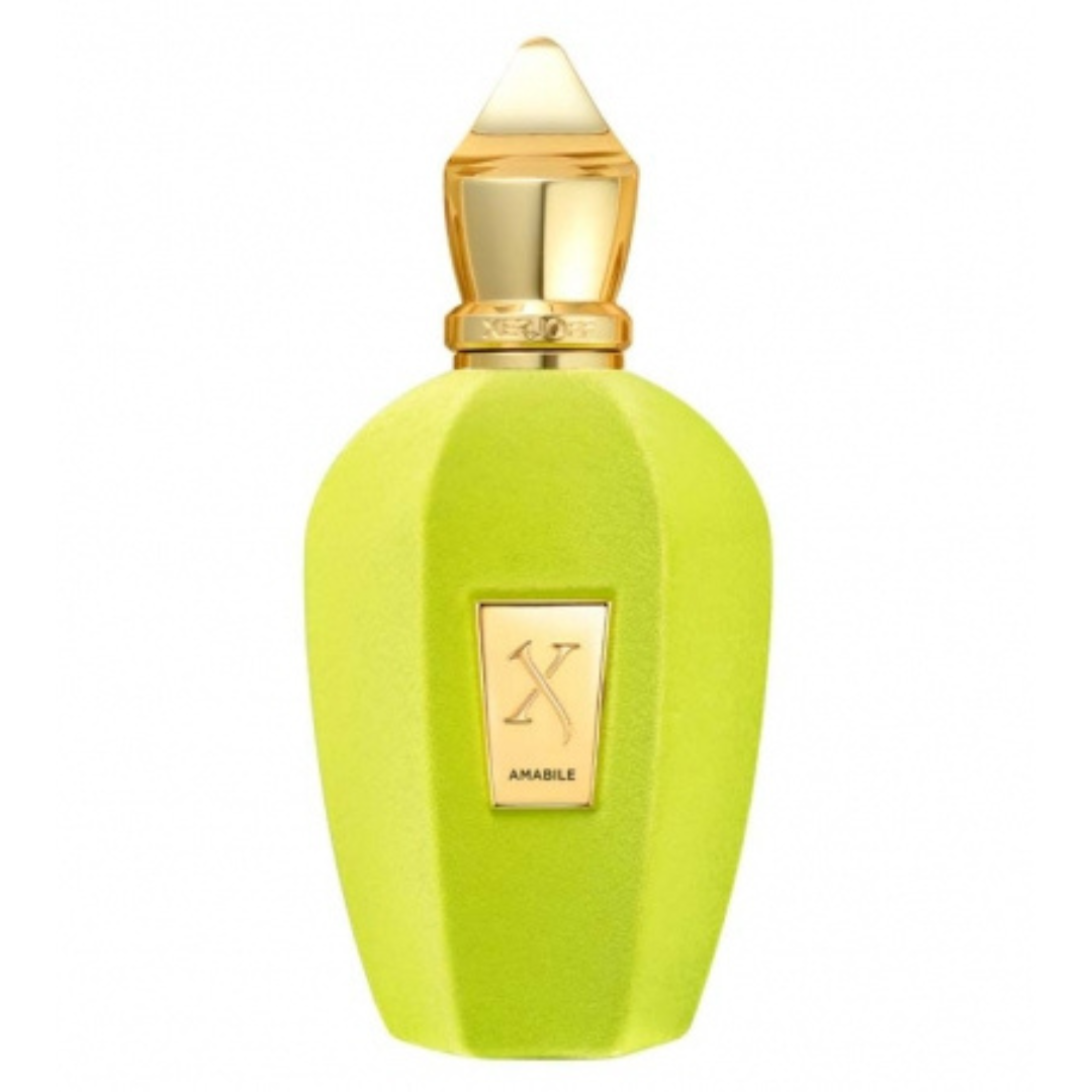 Authentic Xerjoff Amabile Edp 100ml in Pakistan