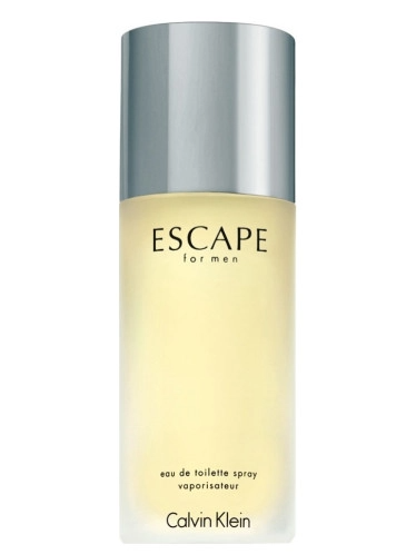 Original Calvin Klein CK Escape Men Edt 100ml Pakistan
